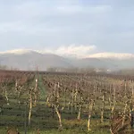 Suedpfalz Mit Balkon & Weinbergblick - Valley Suew *