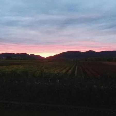 Suedpfalz Mit Balkon & Weinbergblick - Valley Suew * Heuchelheim-Klingen