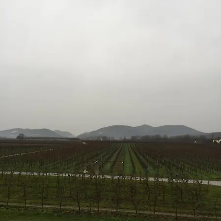 Valley Süw