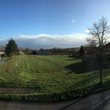 Suedpfalz Mit Balkon & Weinbergblick - Valley Suew Daire Heuchelheim-Klingen