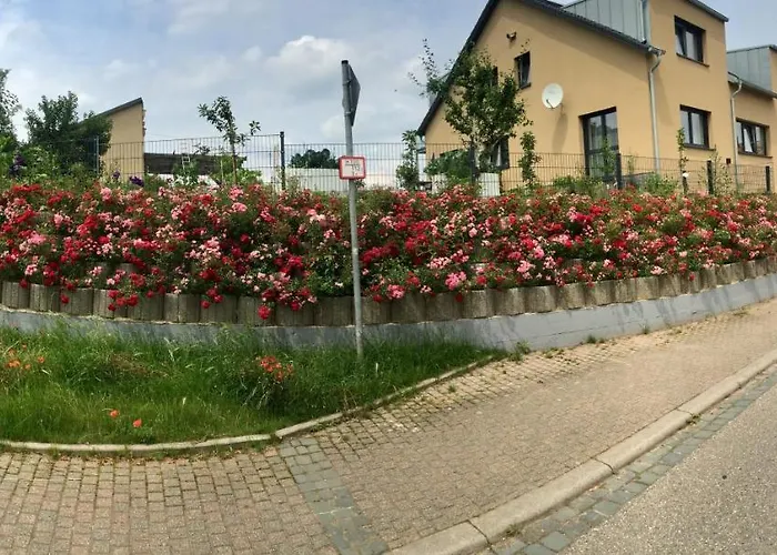 Lägenhet Suedpfalz Mit Balkon & Weinbergblick - Valley Suew *
