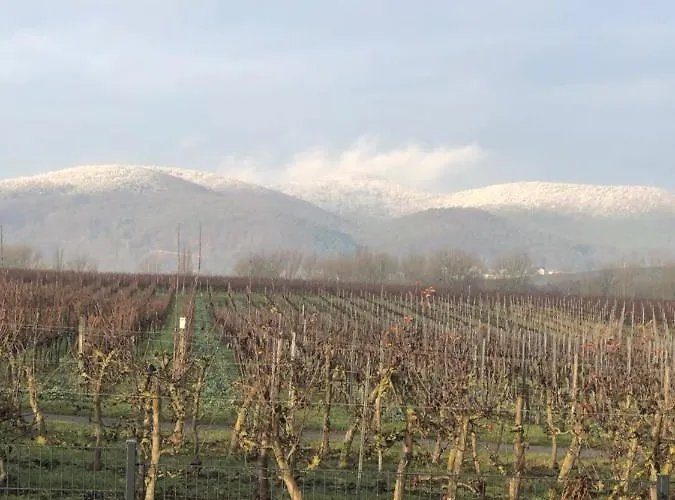 Suedpfalz Mit Balkon & Weinbergblick - Valley Suew *