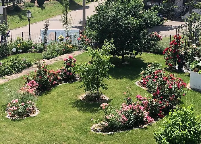 Suedpfalz Mit Balkon & Weinbergblick - Valley Suew *