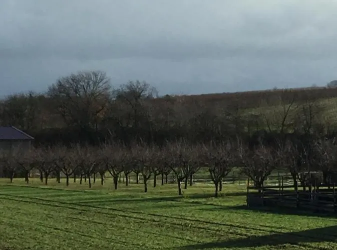 Valley Suew Apartamento Heuchelheim-Klingen