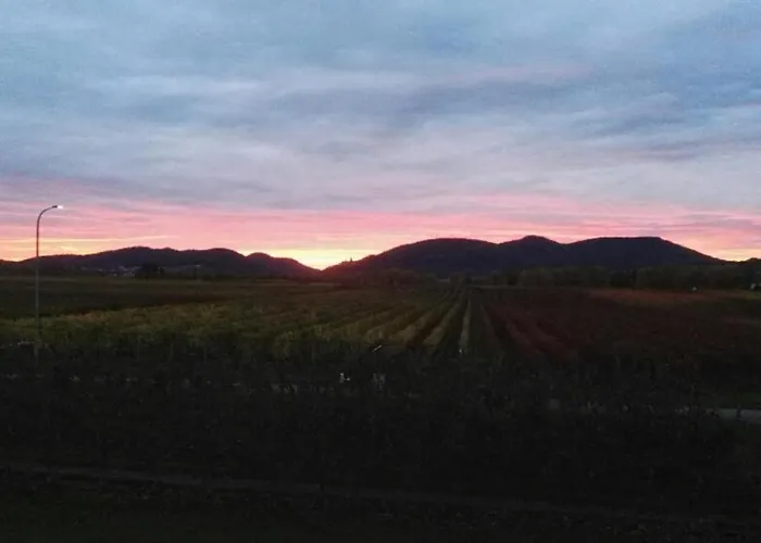 Suedpfalz Mit Balkon & Weinbergblick - Valley Suew * Heuchelheim-Klingen