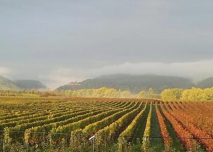 Valley Suew Apartamento Heuchelheim-Klingen