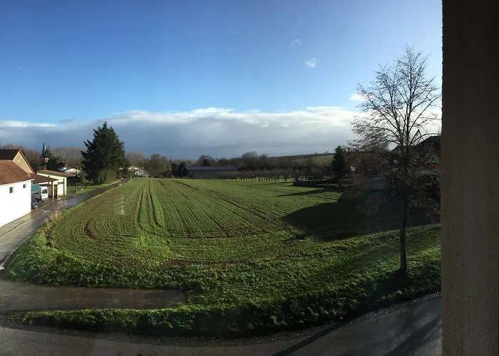 Suedpfalz Mit Balkon & Weinbergblick - Valley Suew Lägenhet Heuchelheim-Klingen